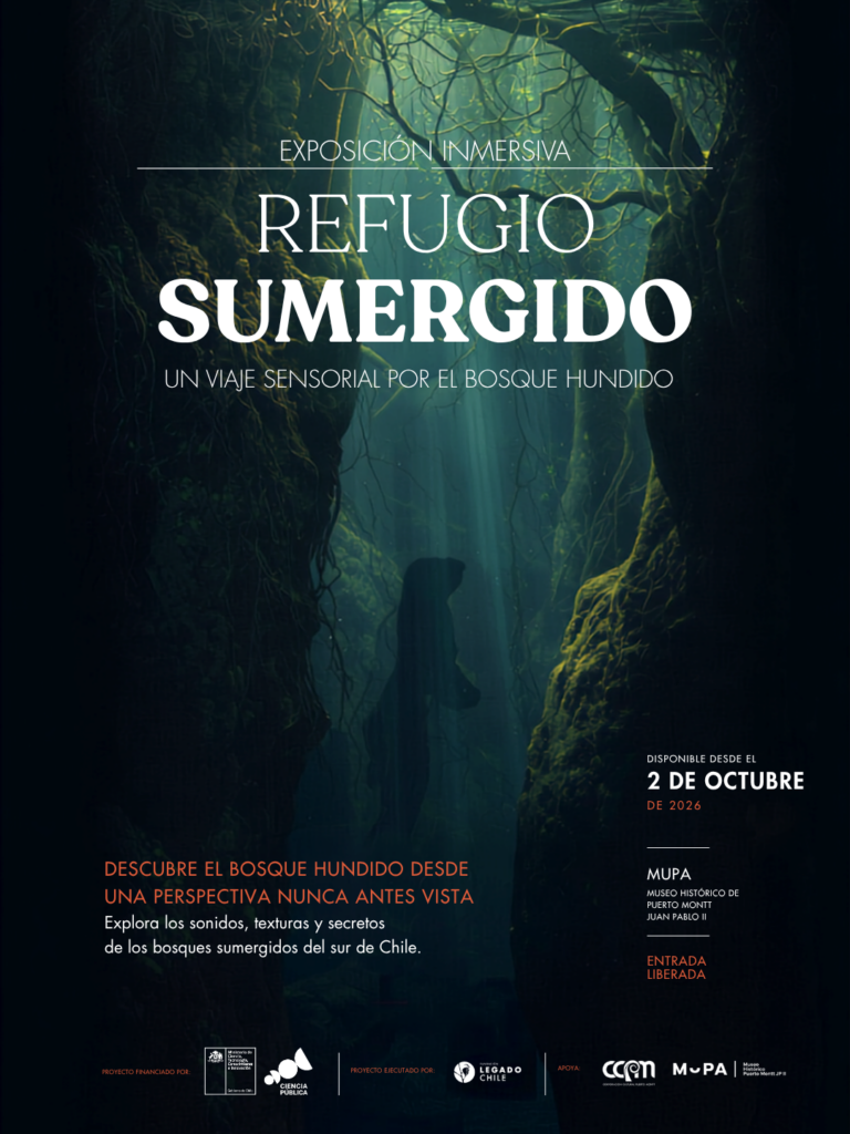 Refugio Sumergido: Un Viaje Sensorial por el Bosque Hundido