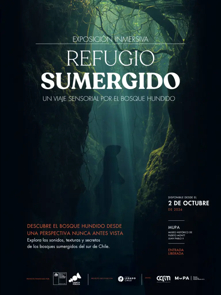 Refugio Sumergido: Un Viaje Sensorial por el Bosque Hundido