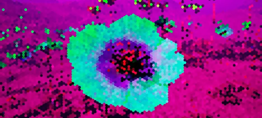 Visión de Abeja: Experiencia floral inmersiva